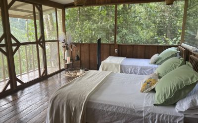Staying at the Ave Sol Lodge is like “coming back to life.”