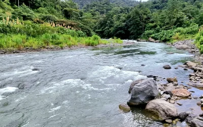 El volumen de agua