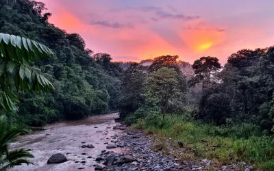 Beneficios de Conectar con la Naturaleza