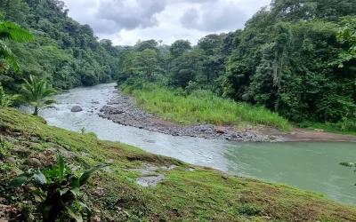 La importancia de las reservas naturales